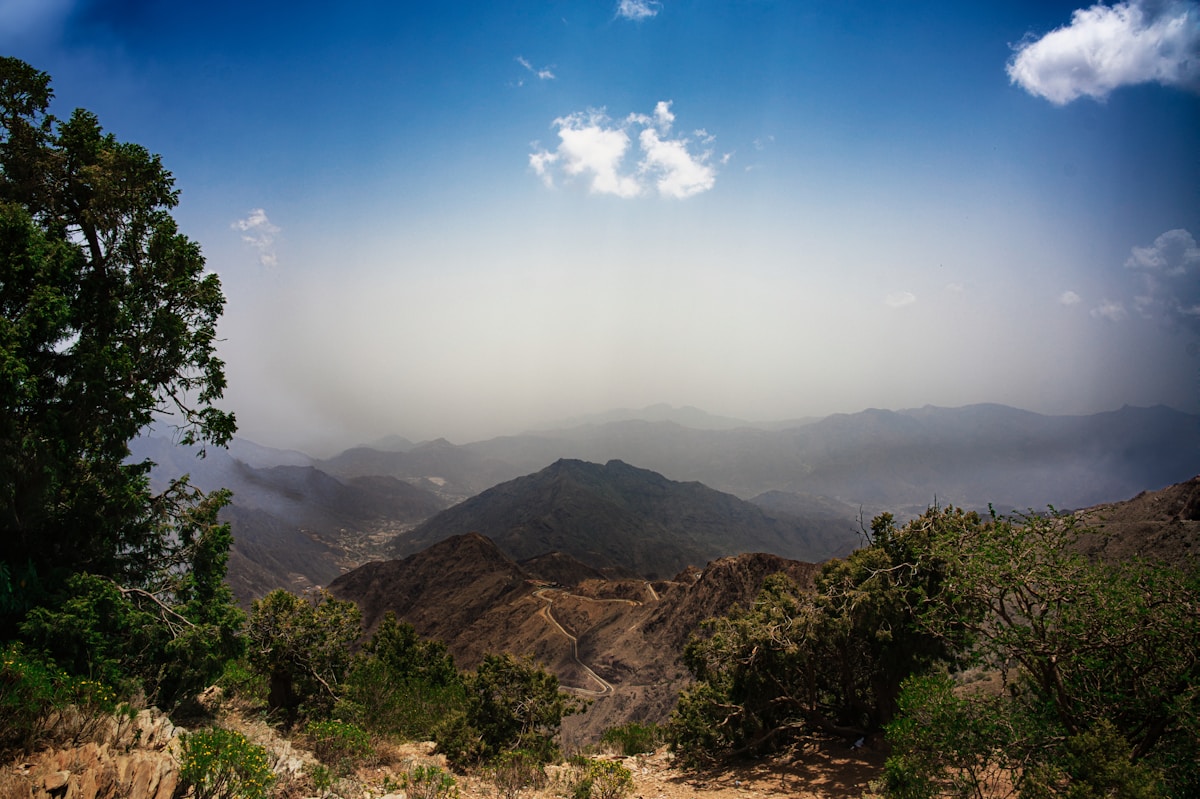 Asir mountain valley with juniper trees and winding road, Abha region, Saudi Arabia