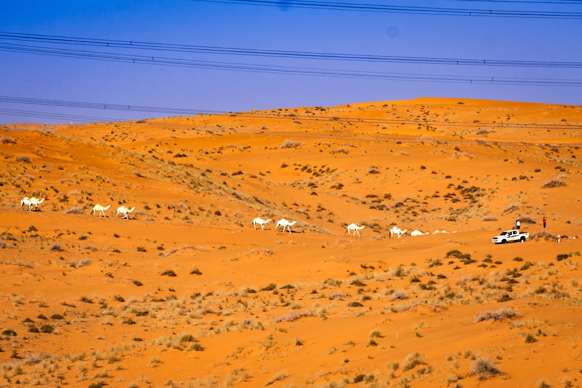 Hotel exterior in Ha'il city with the Aja mountains visible in the background, Saudi Arabia
