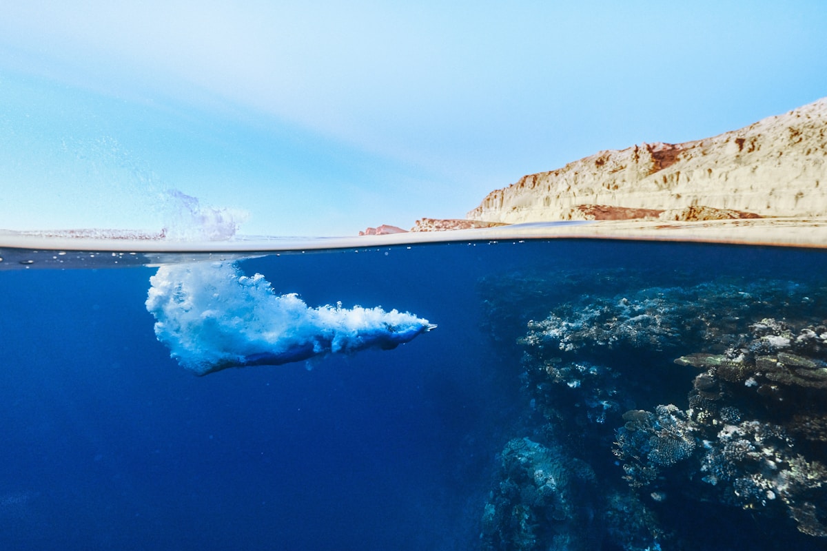 Diver exploring a coral reef in the Red Sea off the coast of Yanbu, Saudi Arabia